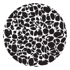osteoporosis