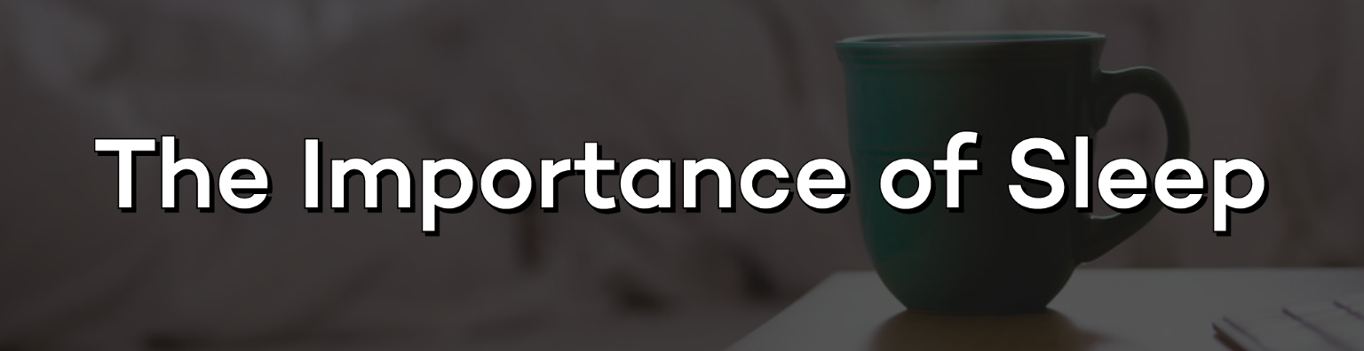 suppp (5).png