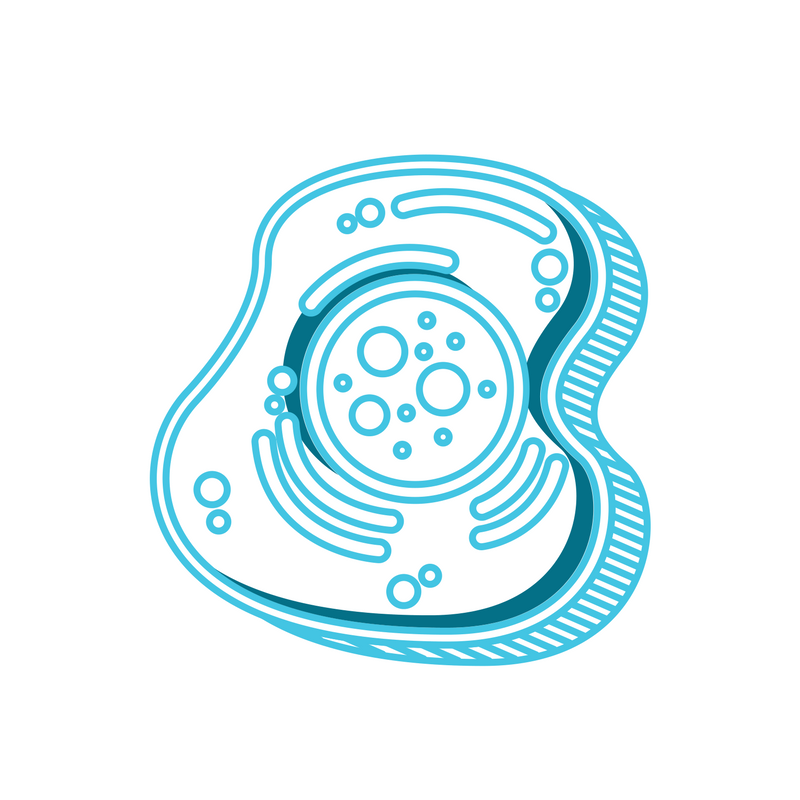 Untitled design (23).png