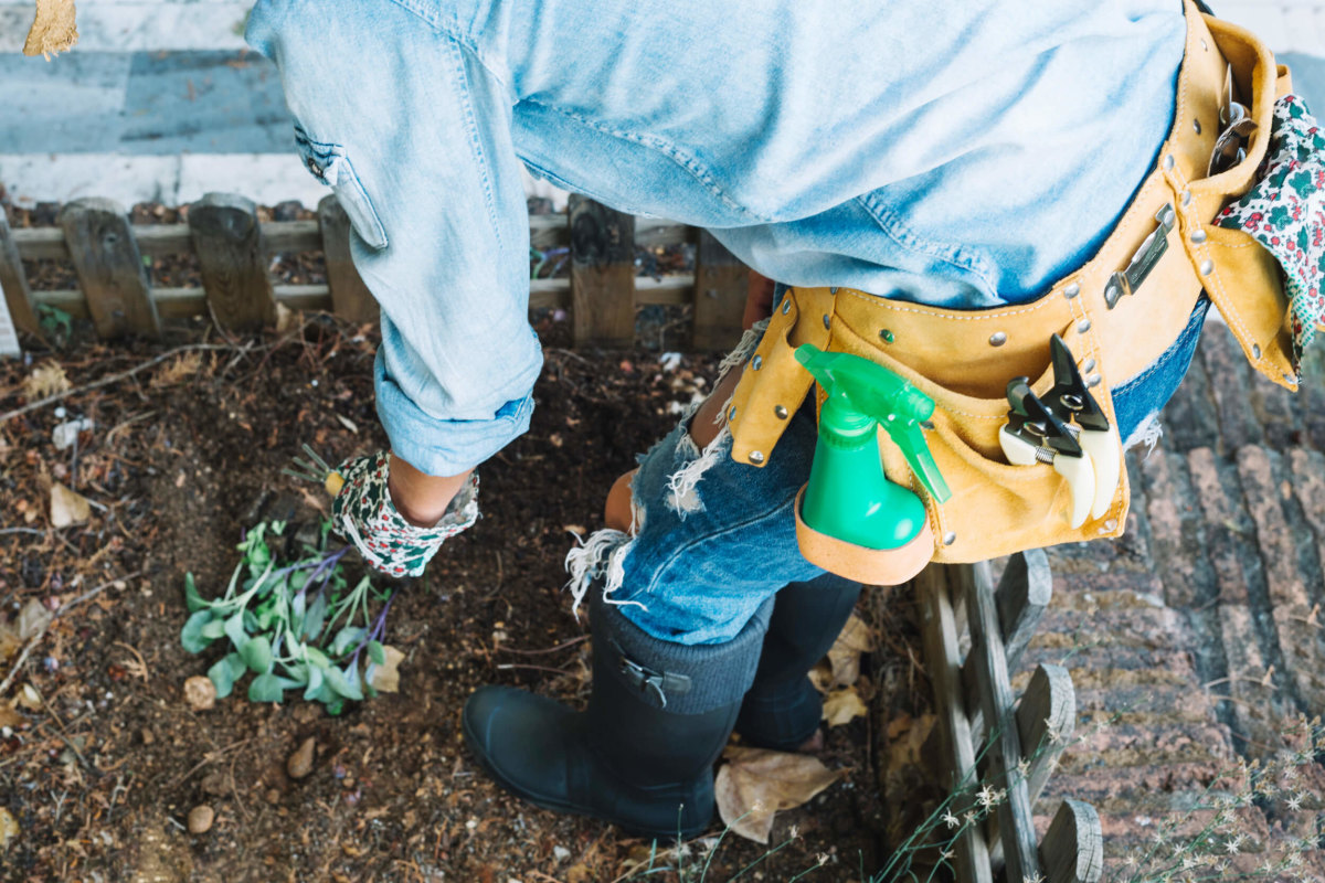 Компост Компост