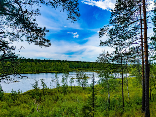 Фундамент при высоких грунтовых водах: что делать, если участок болотистый