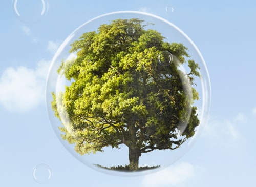 Инженерно-экологические изыскания: что это и зачем платить