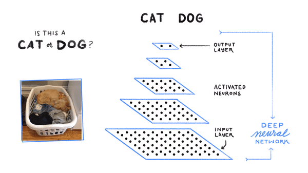 TensorFlow AI TensorFlow AI