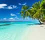 Create the Most Engaging CX with the Right DAM (and palm trees)