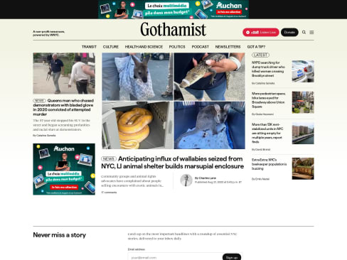 gothamist.com