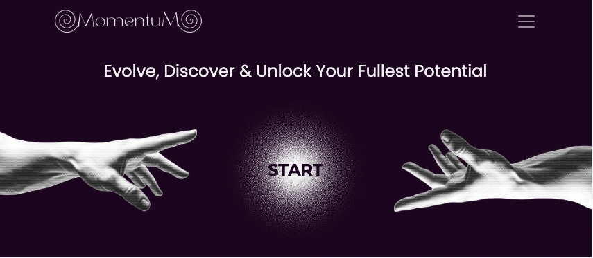 Screenshot of the momentum project