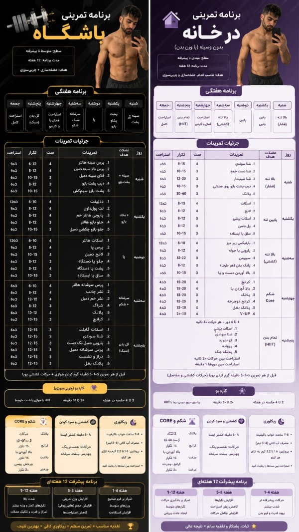 پرامپت تحلیل بدنی و برنامه تمرینی اینفوگرافیک