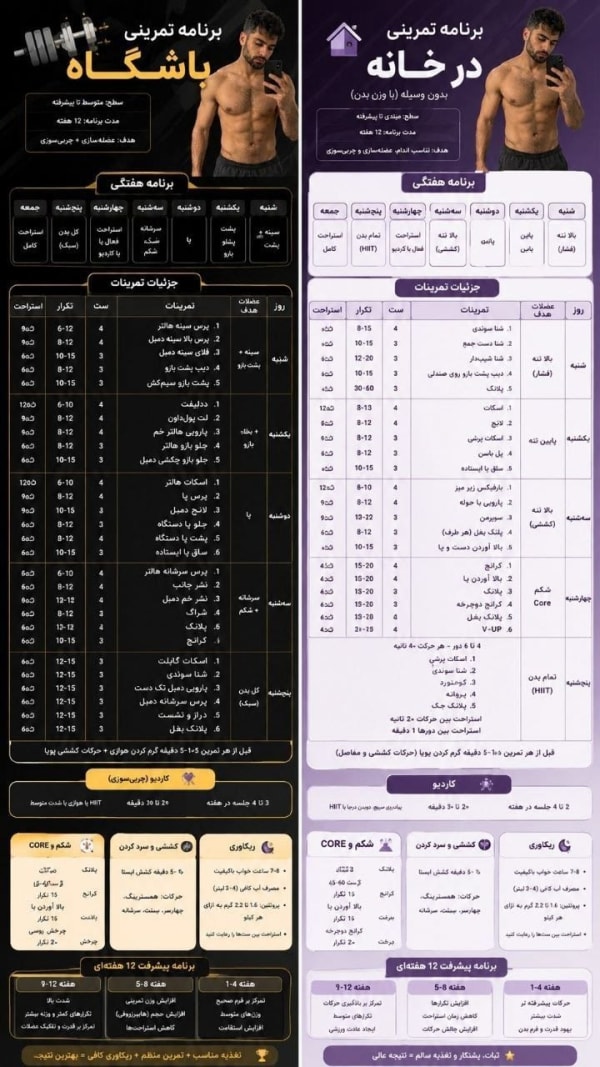 پرامپت تحلیل آناتومی بدن و برنامه ورزشی اینفوگرافیک