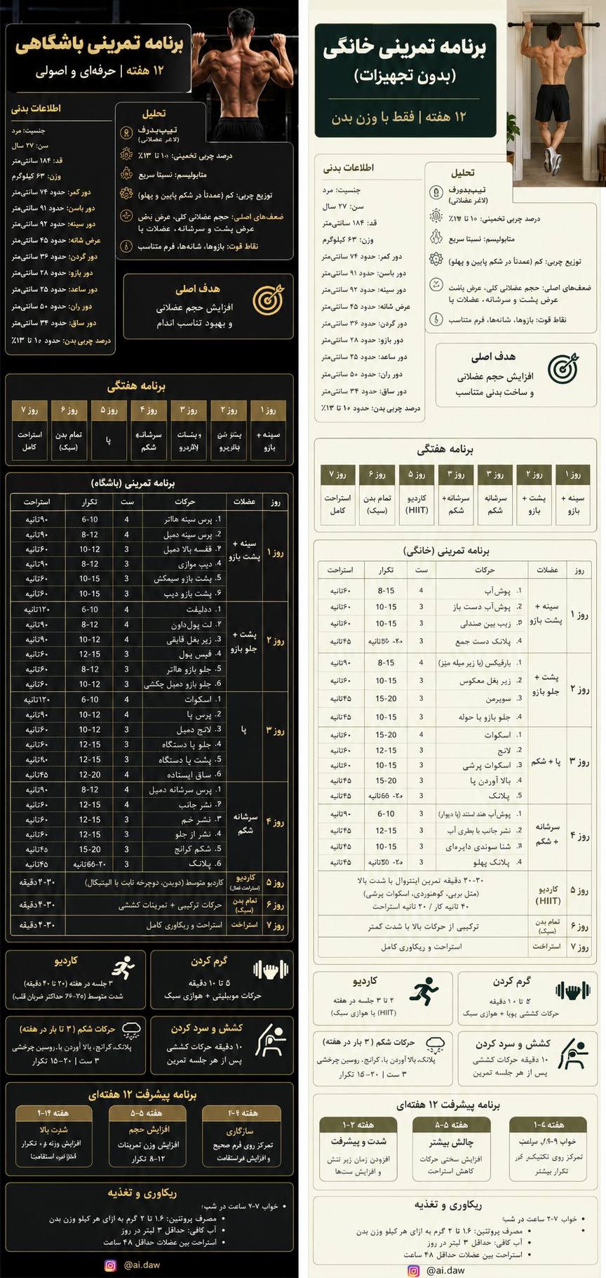 تصویر پرامپت تحلیل بدنی و برنامه تمرینی اینفوگرافیک | PromptsFA