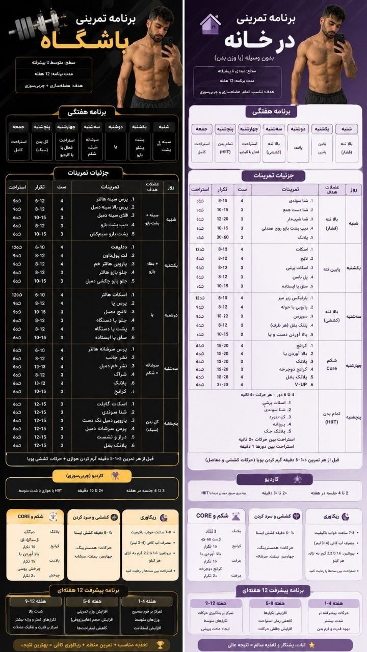 تصویر پرامپت تحلیل آناتومی بدن و برنامه ورزشی اینفوگرافیک | PromptsFA