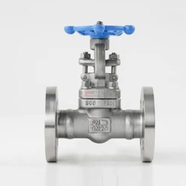 1 Inch High Pressure Steam Gate Valve 15 Bar