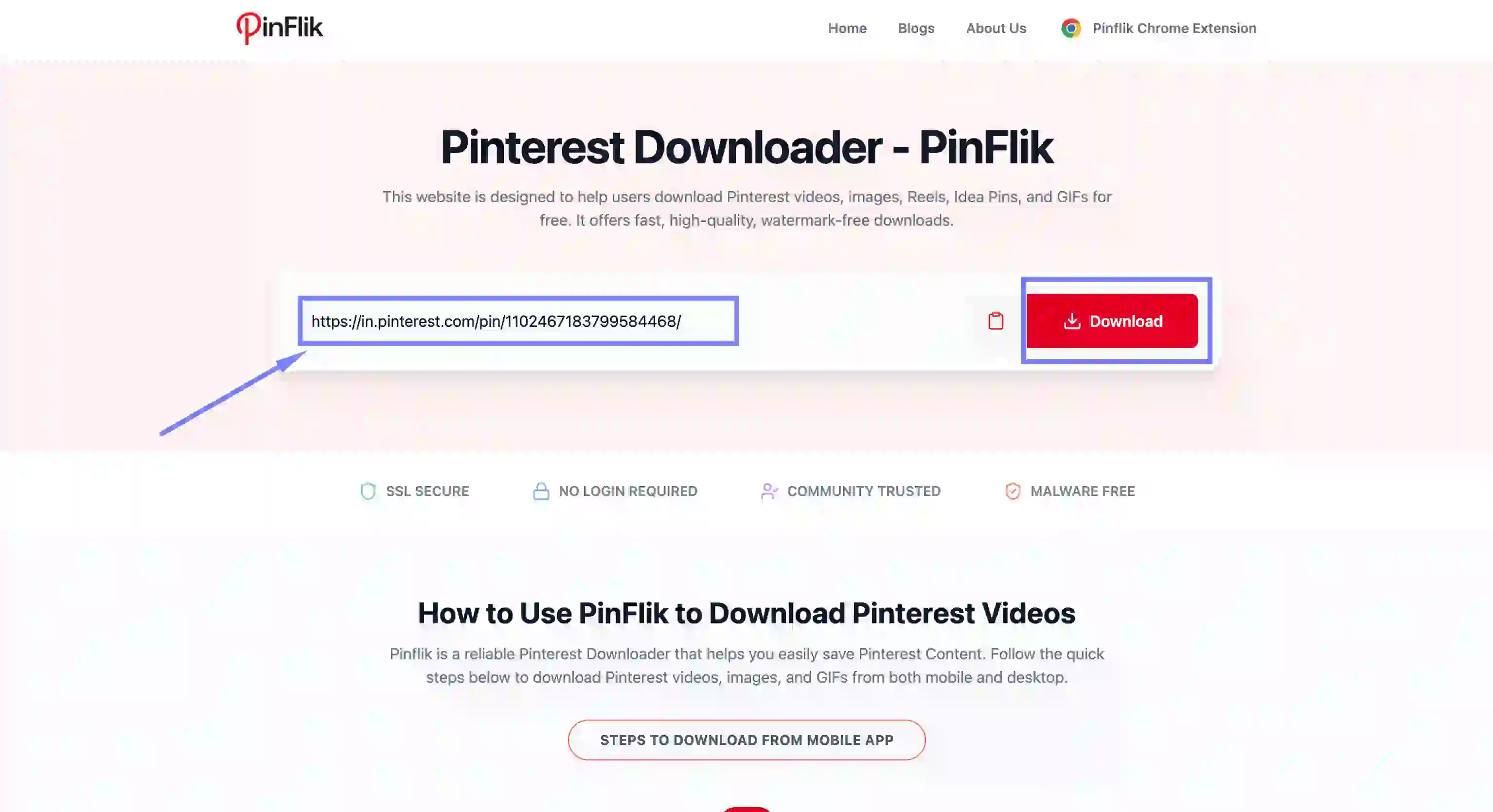 Desktop Step 2 - Paste & Click Download