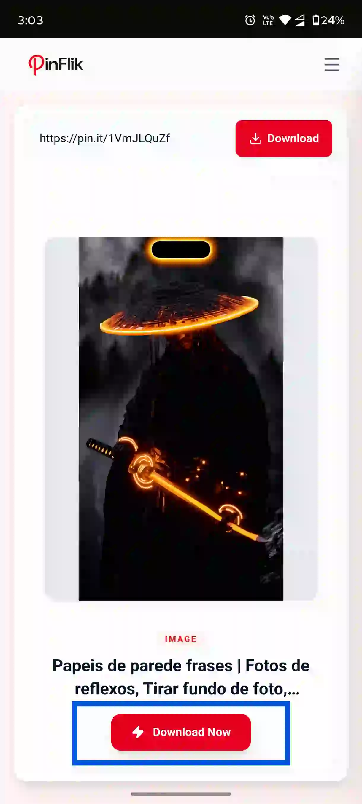 Save downloaded Pinterest media to mobile device