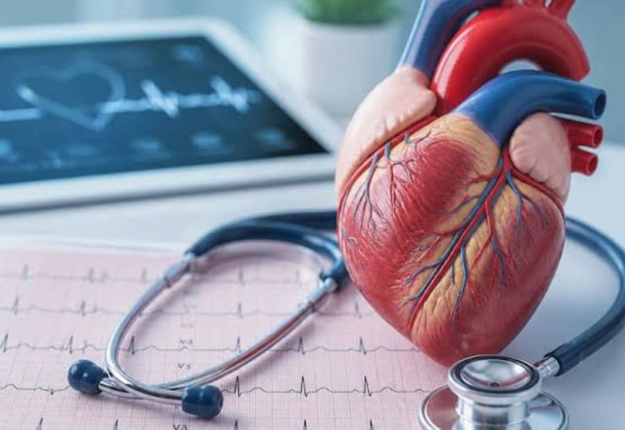 CARDIOLOGY