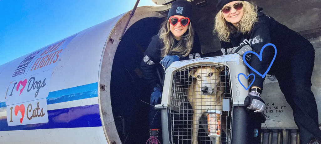 iHeartDogs team with a rescue dog exit an airplane.