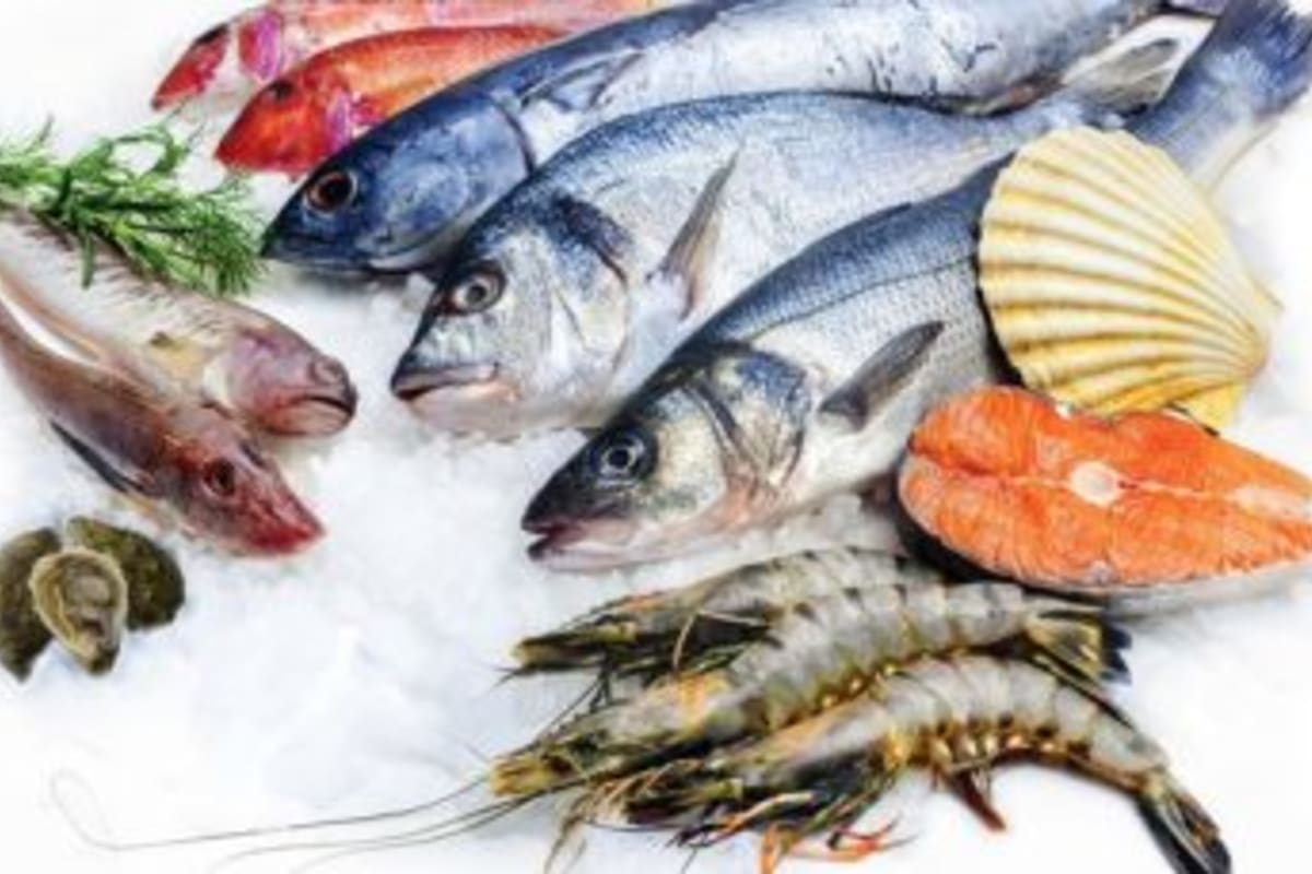 Fish