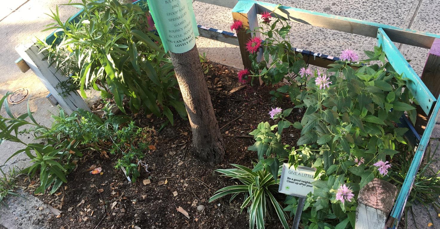 A tree trunk is surrounded by flowering plants and a painted wooden tree guard