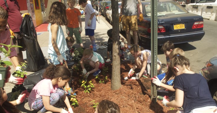 A group of children work together adding mulch to a tree bed