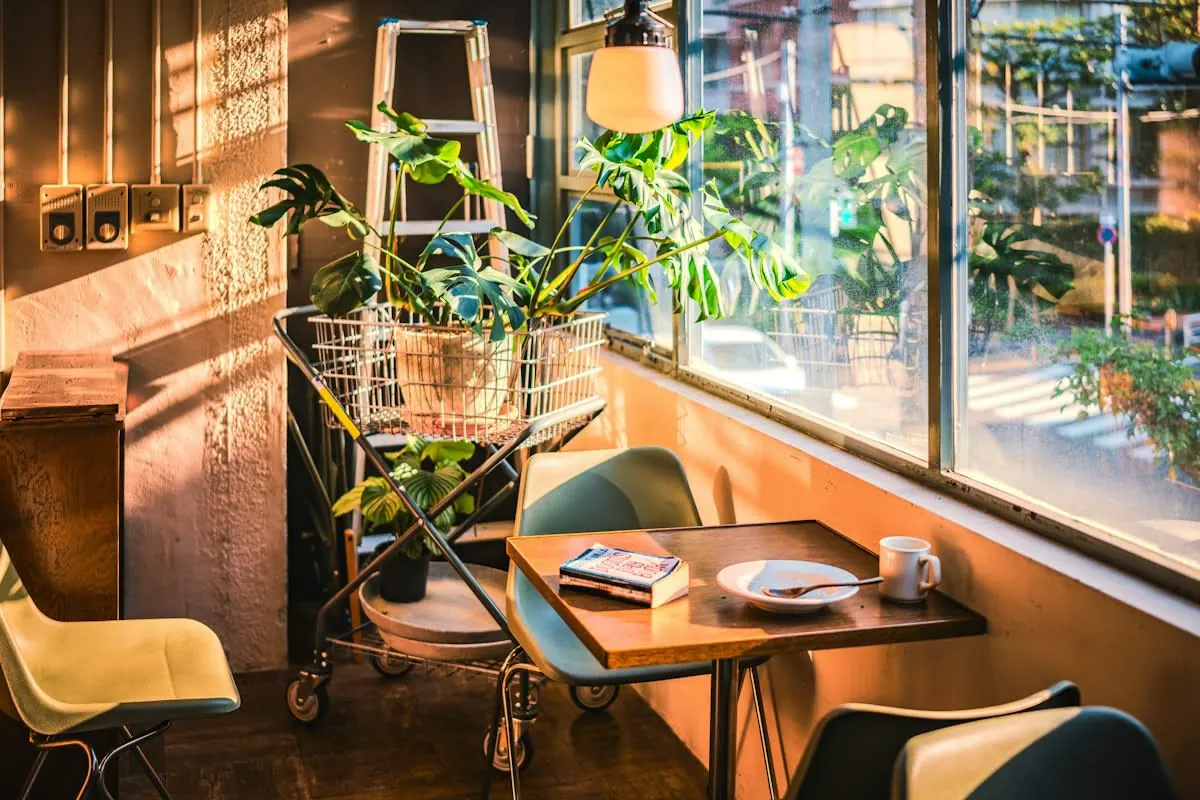 Sunlit cafe table with artisan snacks at PANOVA