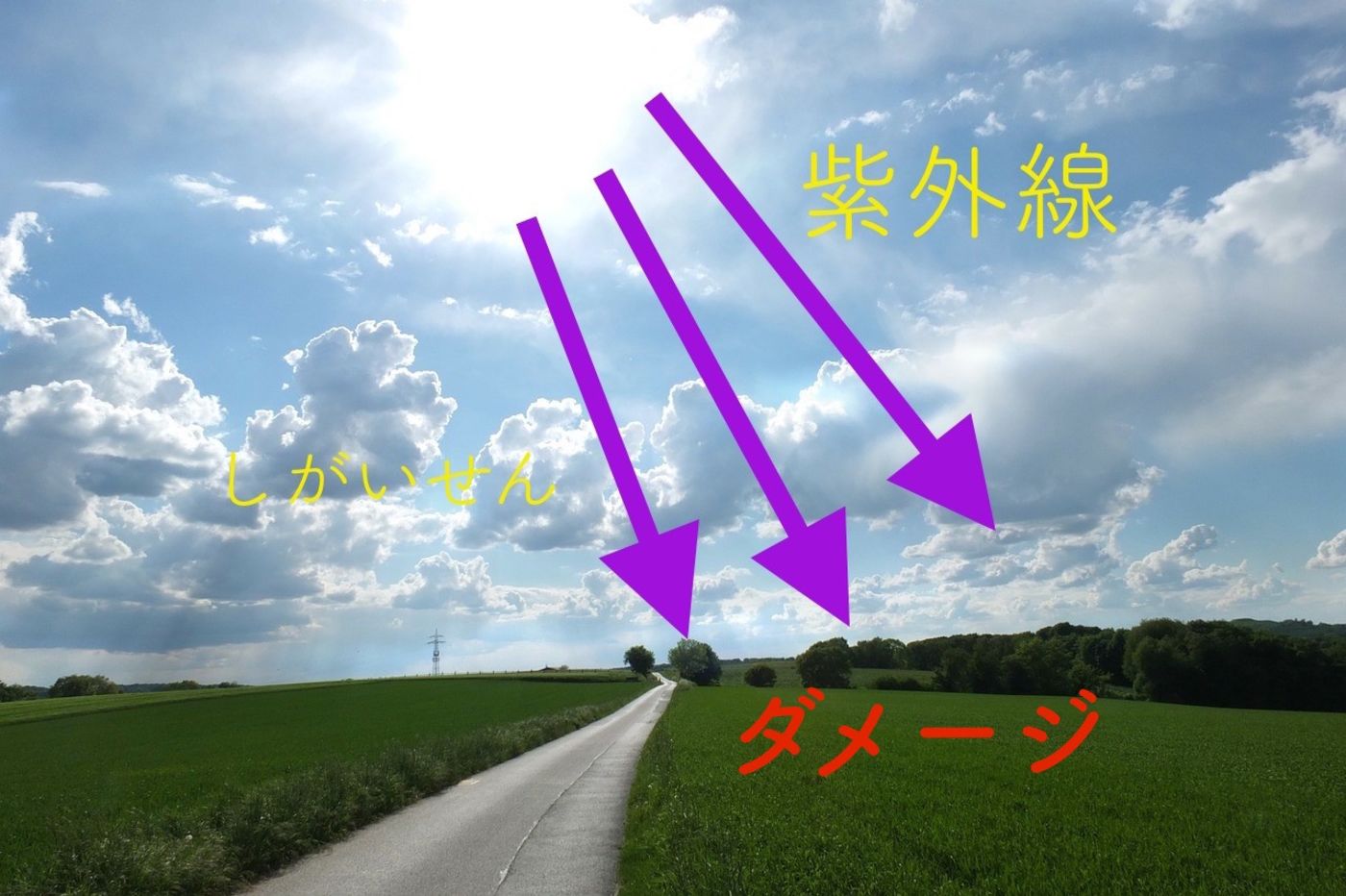 髪にも強敵?