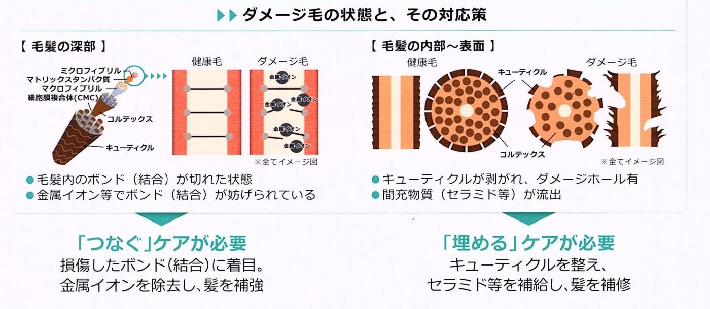 ダメージにも種類がある!