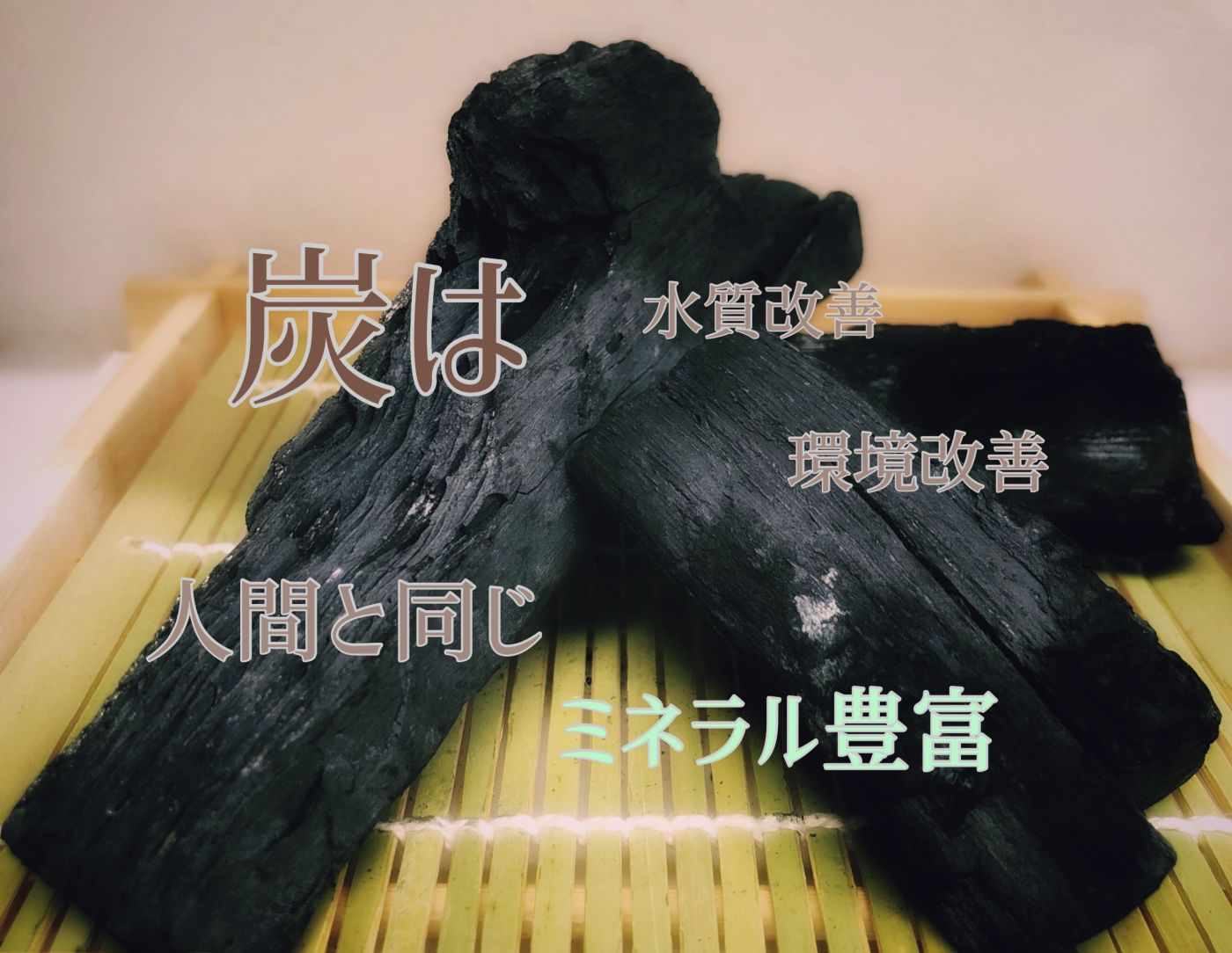 炭は人間と同じミネラル