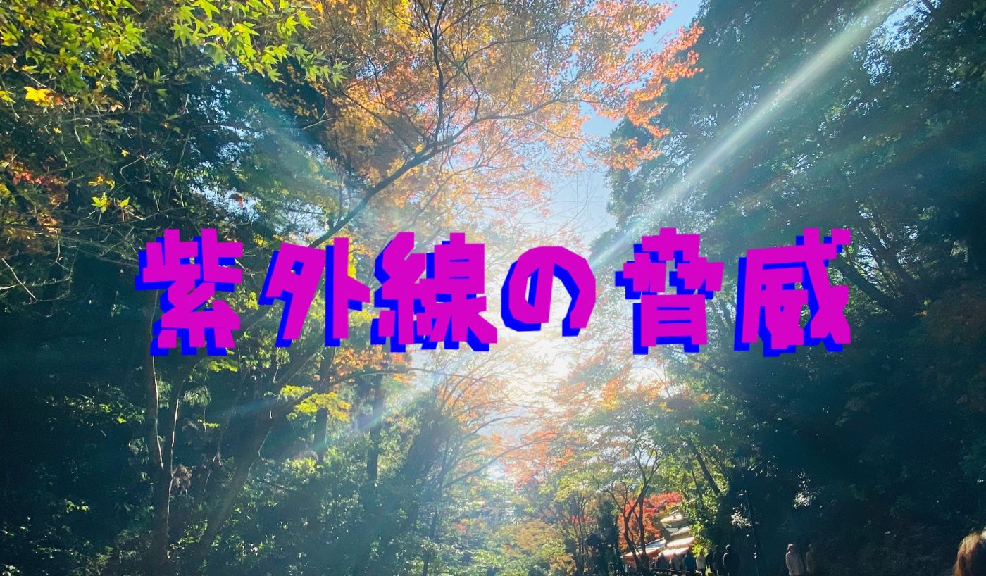 紫外線が髪の毛に与える影響