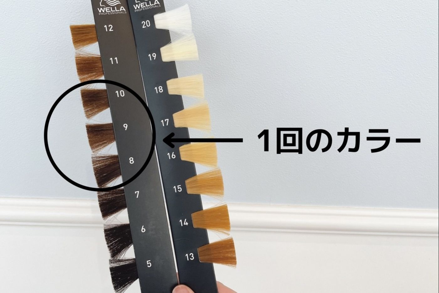 黒髪から1回のカラーで出来る明るさ