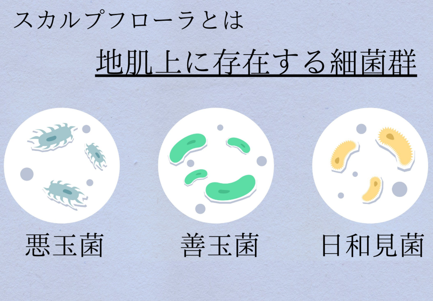 髪に細くなりボリュームが低下する原因の一つ「エイジング現象」