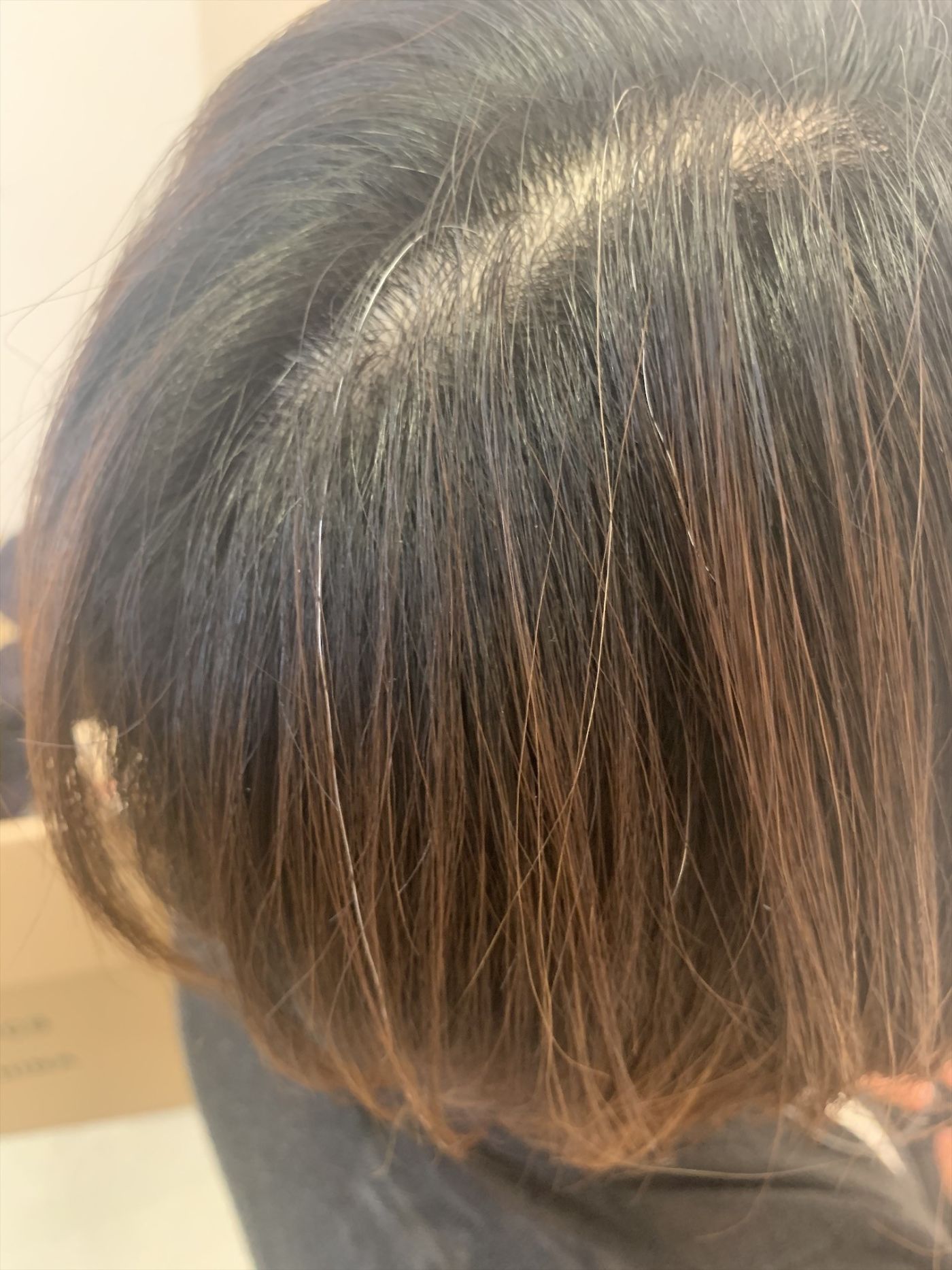 気になる白髪のすべて コラム 美容室 Nyny 大久保店 朝倉 美月 ヘアサロン 美容院 ニューヨークニューヨーク