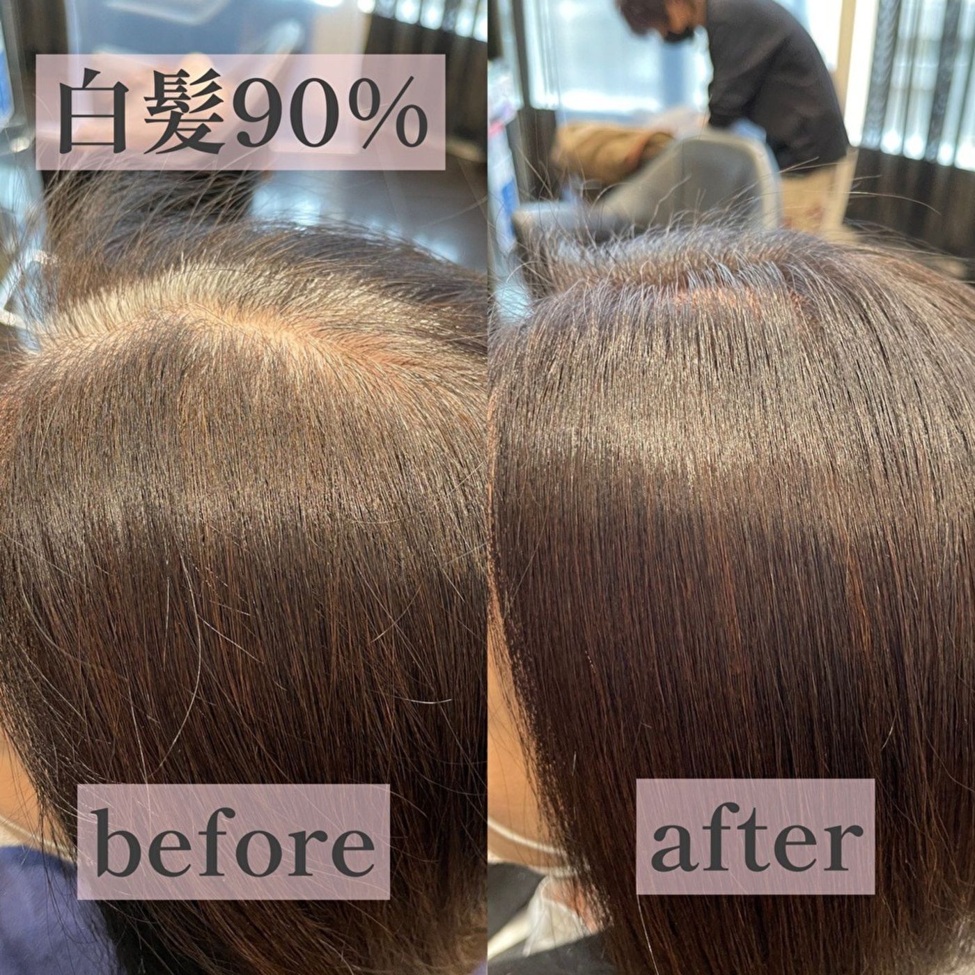 【検証】イルミナカラー新色で白髪染めをしたら…