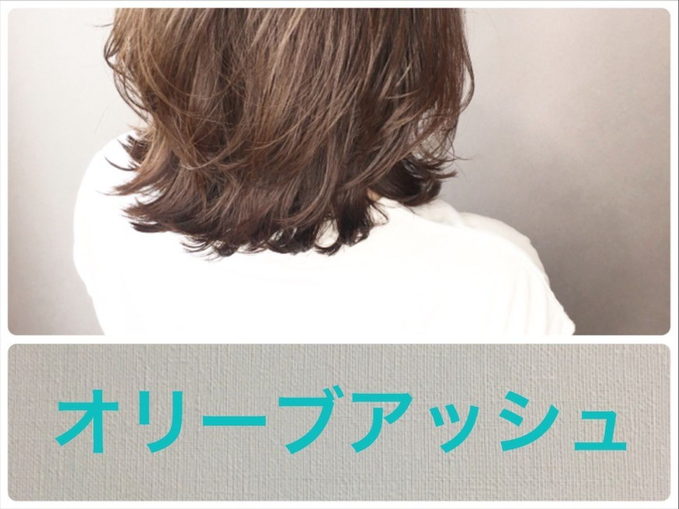 【オリーブアッシュ】