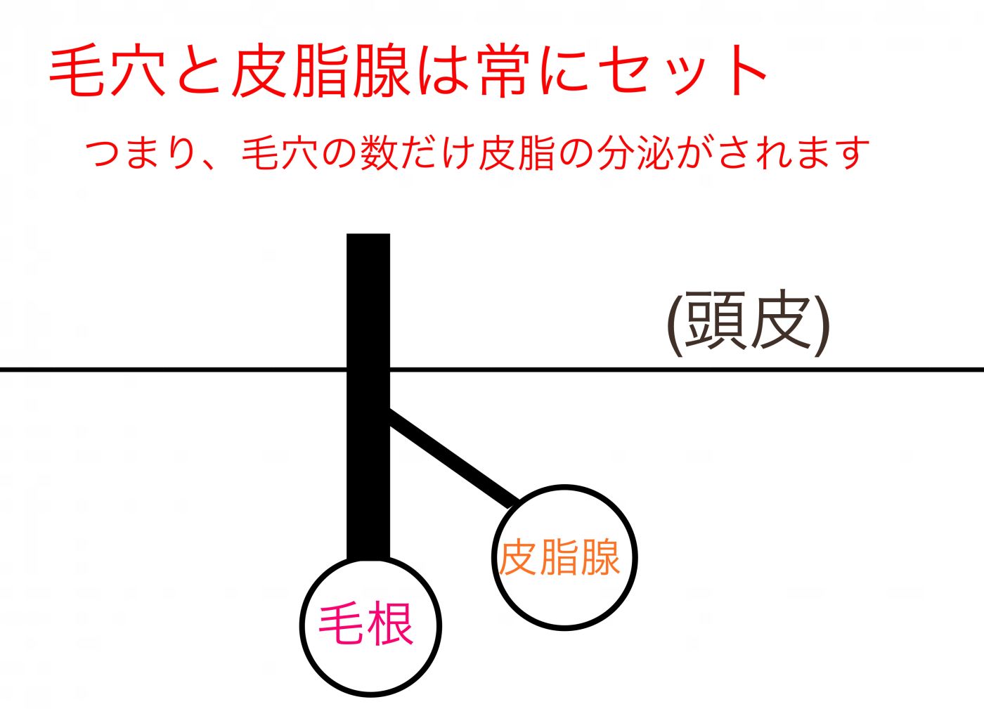 なぜワックスをつける必要があるのか??