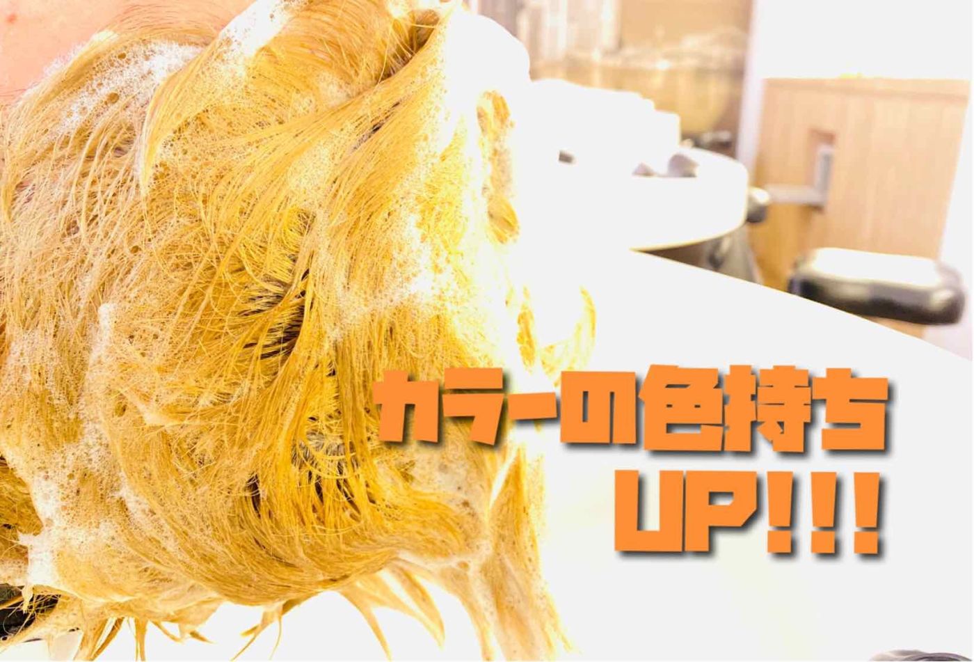 【はちみつシャンプー】乾燥した頭皮をしっかり保湿!クロナ ...