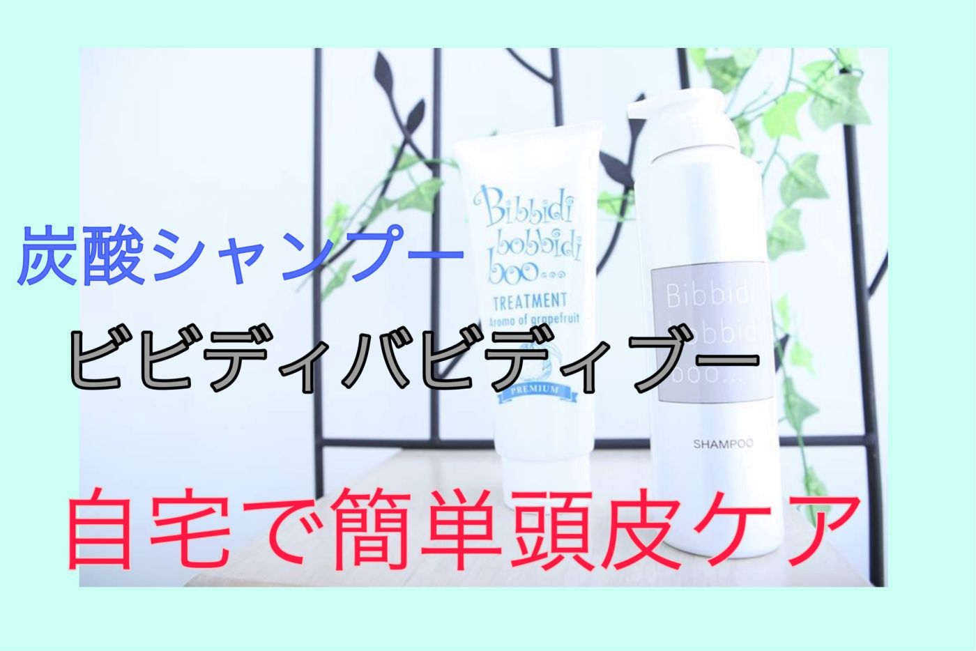 自宅で頭皮洗浄 炭酸シャンプーで頭皮ケア コラム 美容室 Nyny Mothers エビスタ西宮店 蔭山 野歩 ヘアサロン 美容院 ニューヨークニューヨーク 自宅で頭皮洗浄 炭酸シャンプーで頭皮ケア コラム 美容室 Nyny Mothers エビスタ西宮店 蔭山 野歩 ヘアサロン 美容院 ニューヨークニューヨーク