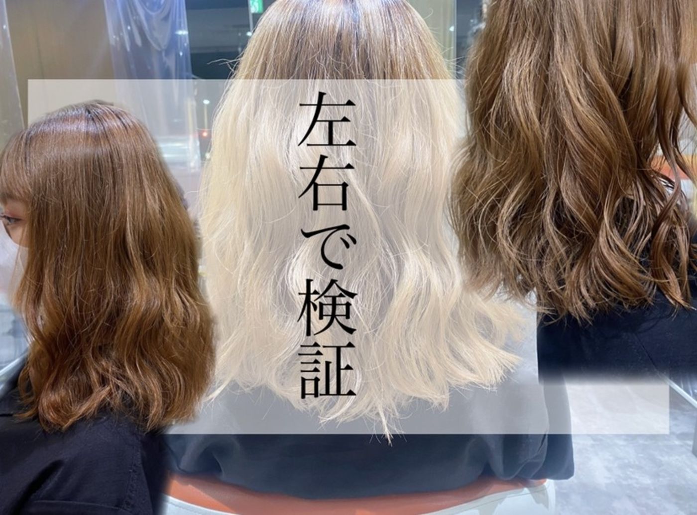 検証開始!