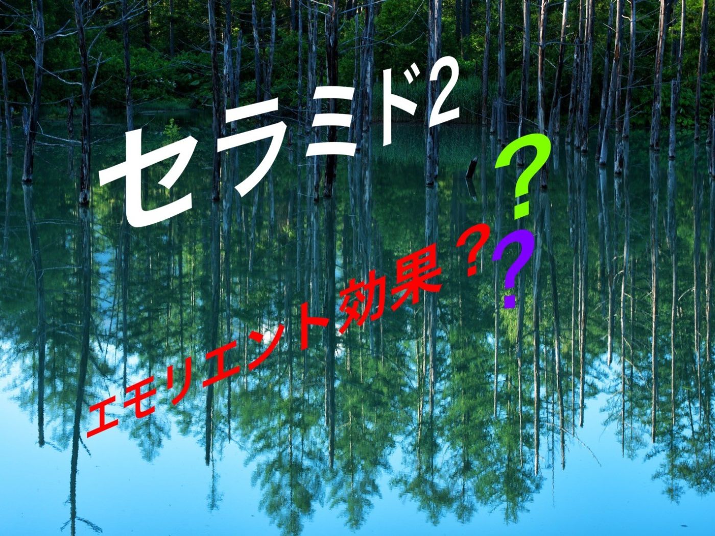 セラミド2とは?