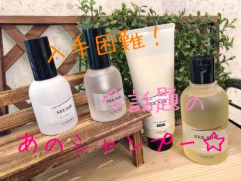 びん エージェント ワーカー シャンプー クロエ 香り 美容 院 Mashaalindia Org びん エージェント ワーカー シャンプー クロエ 香り 美容 院 Mashaalindia Org