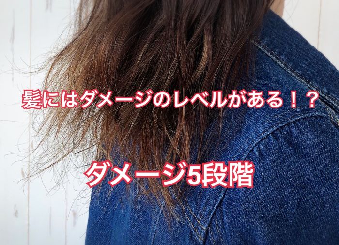 枝毛や切れ毛は何故できるの コラム 美容室 Nyny ピオレ姫路店 西澤 咲輝 ヘアサロン 美容院 ニューヨークニューヨーク 枝毛や切れ毛は何故できるの コラム 美容室 Nyny ピオレ姫路店 西澤 咲輝 ヘアサロン 美容院 ニューヨークニューヨーク