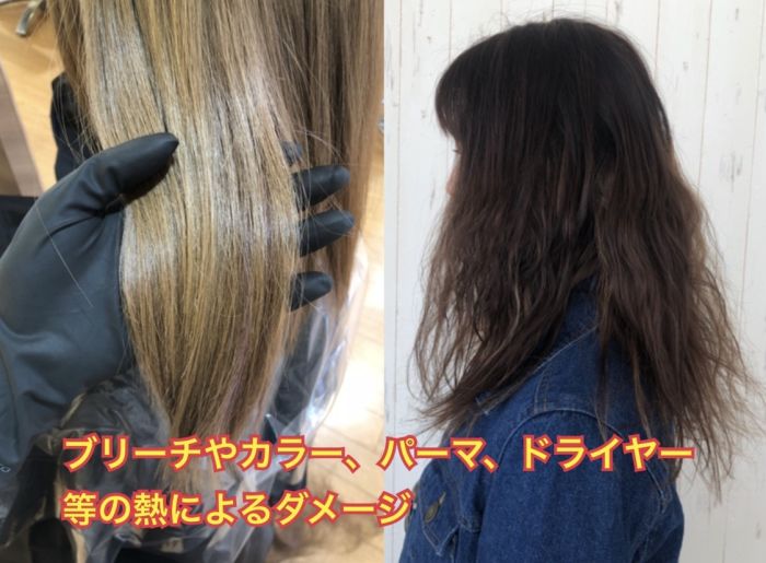 枝毛や切れ毛は何故できるの コラム 美容室 Nyny ピオレ姫路店 西澤 咲輝 ヘアサロン 美容院 ニューヨークニューヨーク