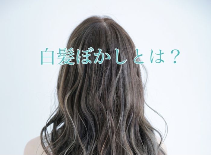 白髪ぼかしハイライト コラム 美容室 Nyny ピオレ姫路店 西澤 咲輝 ヘアサロン 美容院 ニューヨークニューヨーク