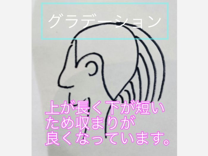 徹底解説 美容師がよく使う レイヤー と グラデーション の違い コラム 美容室 Nyny 三宮駅前店 橋川 光太郎 ヘアサロン 美容院 ニューヨークニューヨーク