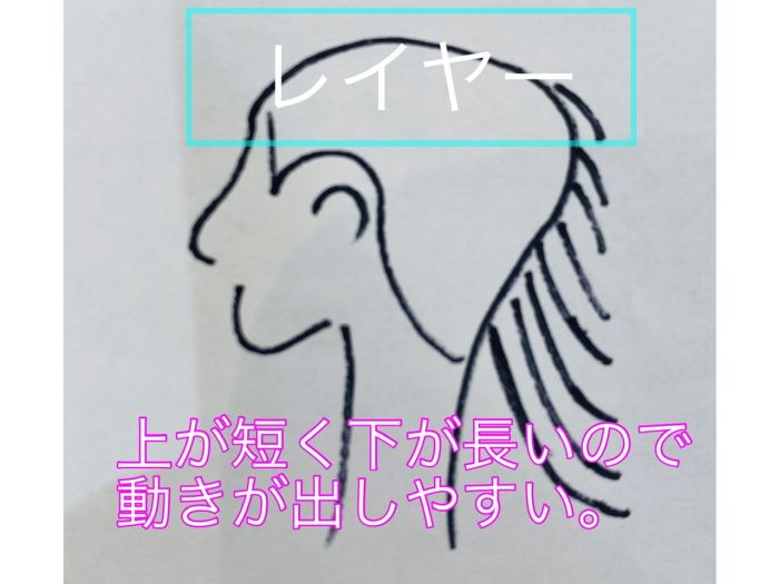 徹底解説 美容師がよく使う レイヤー と グラデーション の違い コラム 美容室 Nyny 三宮駅前店 橋川 光太郎 ヘアサロン 美容院 ニューヨークニューヨーク