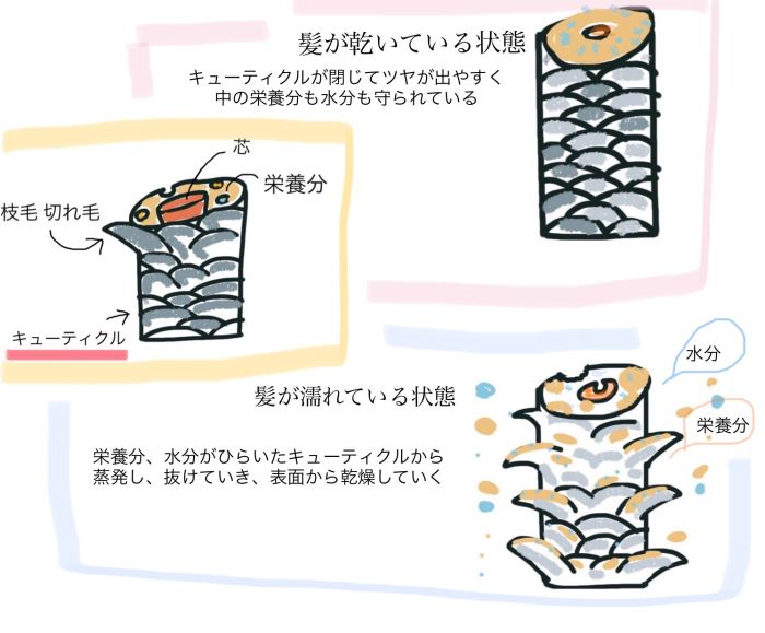 綺麗な髪を維持する簡単なケアと 洗い流さないトリートメントの重要性 コラム 美容室 nyny 大久保店 大川 せり ヘアサロン 美容院 ニューヨークニューヨーク