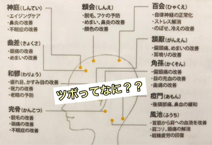 頭皮のツボ 徹底解説 頭のツボで健康状態丸分かり コラム 美容室 Nyny 三宮駅前店 橋川 光太郎 ヘアサロン 美容院 ニューヨークニューヨーク 頭皮のツボ 徹底解説 頭のツボで健康状態丸分かり コラム 美容室 Nyny 三宮駅前店 橋川 光太郎 ヘアサロン 美容院 ニューヨークニューヨーク