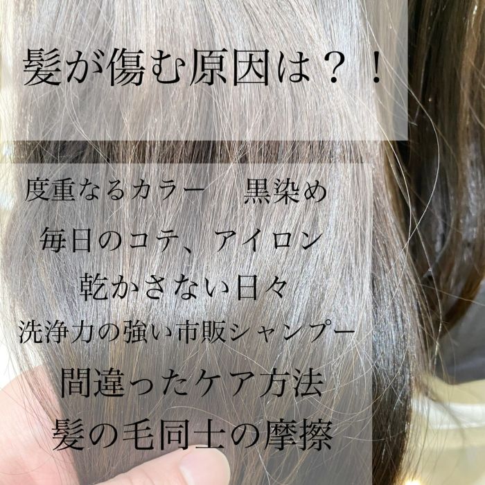 これをすればあなたの髪も生き返る お客様がサロンに来てから髪が綺麗になるプロセス紹介 コラム 美容室 Nyny Co なんばパークス店 武居 勇気 ヘアサロン 美容院 ニューヨークニューヨーク これをすればあなたの髪も生き返る お客様がサロンに来てから髪が綺麗になるプロセス紹介 コラム 美容室 Nyny Co なんばパークス店 武居 勇気 ヘアサロン 美容院 ニューヨークニューヨーク
