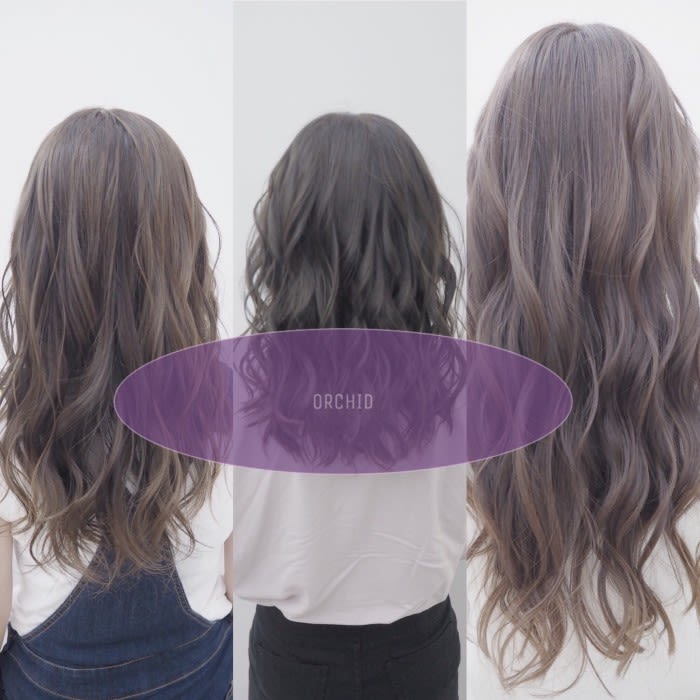 魔法のカラー イルミナオーキッドの魅力 コラム 美容室 Nyny 加古川店 永岡 鉄平 ヘアサロン 美容院 ニューヨークニューヨーク 魔法のカラー イルミナオーキッドの魅力 コラム 美容室 Nyny 加古川店 永岡 鉄平 ヘアサロン 美容院 ニューヨークニューヨーク