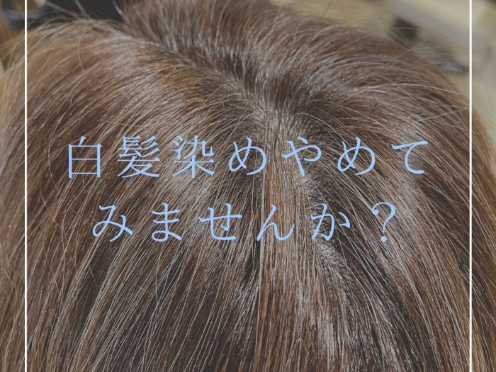 白髪が気になる方必見 白髪を目立たなくするには がポイントだった コラム 美容室 Nyny 長岡天神店 山﨑 竜二 ヘアサロン 美容院 ニューヨークニューヨーク 白髪が気になる方必見 白髪を目立たなくするには がポイントだった コラム 美容室 Nyny 長岡天神店 山﨑 竜二 ヘアサロン 美容院 ニューヨークニューヨーク