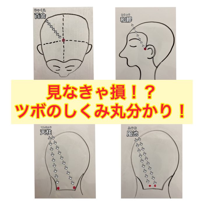 頭皮のツボ 徹底解説 頭のツボで健康状態丸分かり コラム 美容室 Nyny 三宮駅前店 橋川 光太郎 ヘアサロン 美容院 ニューヨークニューヨーク 頭皮のツボ 徹底解説 頭のツボで健康状態丸分かり コラム 美容室 Nyny 三宮駅前店 橋川 光太郎 ヘアサロン 美容院 ニューヨークニューヨーク