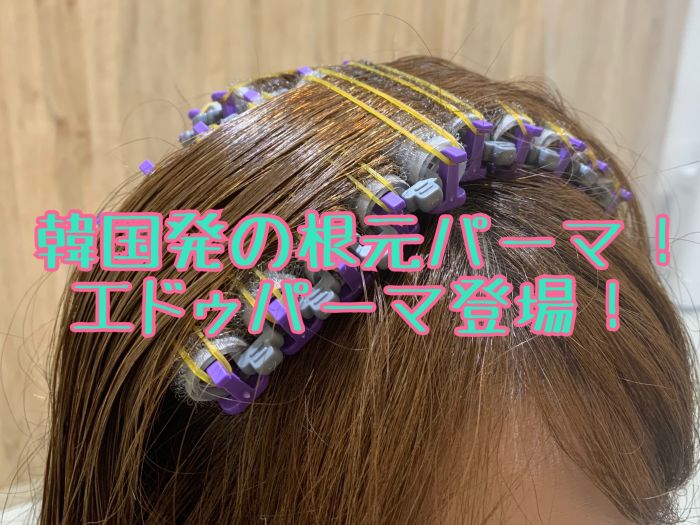 韓国発の根元パーマ エドゥパーマ登場 コラム 美容室 Nyny 山科店 中林 由佳 ヘアサロン 美容院 ニューヨークニューヨーク 韓国発の根元パーマ エドゥパーマ登場 コラム 美容室 Nyny 山科店 中林 由佳 ヘアサロン 美容院 ニューヨークニューヨーク